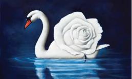 Trắc nghiệm tâm lý: Điều đầu tiên bạn nhìn thấy là gì, và điểm quyến rũ của bạn trong cuộc sống là gì?