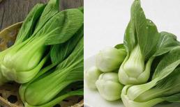 Khi mua cải chíp, cần phân biệt giữa “thân trắng” và “thân xanh”