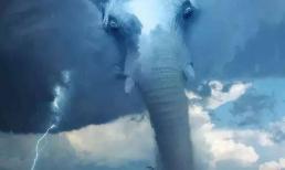 Trắc nghiệm tâm lý: Điều đầu tiên bạn nhìn thấy là gì và điều bạn mong muốn đạt được nhất là gì? 