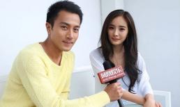 Dương Mịch có ý định bắt tay làm hòa, phản ứng của Lưu Khải Uy gây bất ngờ