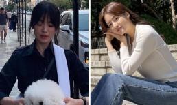 Nhìn những hình ảnh này là đủ hiểu tại sao trước khi lấy Son Ye Jin, Hyun Bin từng mê mệt Song Hye Kyo và Kang Sora