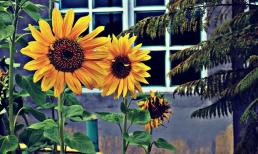 Những người sinh ngày này, sinh ra đã có 'chìa khóa vàng' cho riêng mình, sau khi kết hôn càng về sau càng tốt