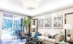 Nhất định phải đặt cây ở những nơi này trong nhà, chẳng trách cuộc sống ngày càng giàu sang, khôn quá!