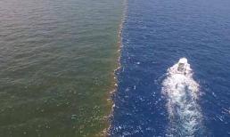 Đều là nước biển, nhưng tại sao nước biển Đại Tây Dương và Thái Bình Dương không thể tương thích với nhau?