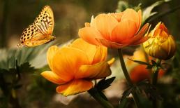 Ngay khi mọi người chuyển nơi làm việc mới và bước qua tuổi ba mươi, bạn nên rời khỏi ba hội nhóm ngay lập tức