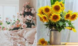 Tết đến Xuân về, gợi ý cách chọn hoa cho từng phòng để phù hợp và sang trọng nhất
