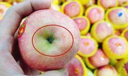 Các bạn thích ăn táo để ý 5 cách chọn mua được táo ngon ngọt! Biết bây giờ cũng chưa muộn!