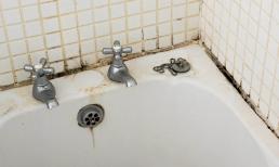 Cách loại bỏ nấm mốc đen ăn sâu trong phòng tắm mà không cần hóa chất