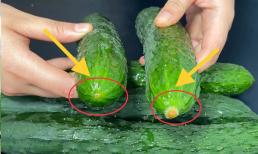 Khi mua dưa chuột, hãy ghi nhớ 5 mẹo sau để tránh mua phải dưa chuột chứa hormone Sau khi đọc kiến ​​thức