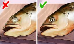 7 cách để kiểm tra xem thực phẩm có tốt để ăn sau khi không đụng đến trong thời gian dài hay không