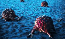 Sắc tố nấm chứng minh nguồn hợp chất chống ung thư đầy hứa hẹn