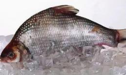 Không nên ăn 5 loại cá này vì có thể chứa formaldehyde và kim loại nặng, chia sẻ ngay cho gia đình bạn