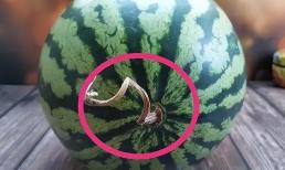 Làm thế nào để nhận biết dưa hấu có 'chất thúc chín'? Nhìn vào một điểm và trong nháy mắt là biết