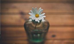 Người xấu bụng thích hỏi han những điều này, hãy cẩn thận khi gặp phải