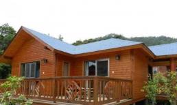 Trắc nghiệm tâm lý: Bạn nghĩ ngôi nhà nào sẽ có giá trị nhất trong tương lai? Kiểm tra độ chính xác tầm nhìn của bạn