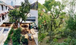 Trồng cây trên sân thượng, ngoài chống thấm cần lưu ý những vấn đề gì? Đây là kinh nghiệm 