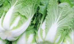 Cải thảo đã được phun formaldehyde sẽ có 3 đặc điểm này, đọc xong bạn sẽ không bao giờ mua nhầm nữa