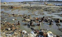 Du khách thắc mắc: Tại sao môi trường ở Ấn Độ không tốt như vậy mà người Ấn Độ lại hiếm khi bị bệnh?