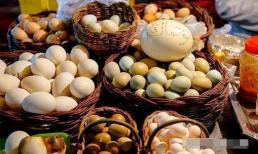 Trứng gà, trứng vịt, trứng ngỗng, trứng cút, loại nào bổ dưỡng? Bác sĩ: Ăn ít 3 loại trứng này