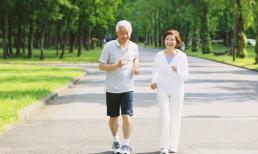 Miễn dịch là bác sĩ tốt nhất trên thế giới, kích hoạt nó với 8 cách dễ dàng!