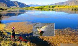 Câu cá hoang dã cuối thu, nước cạn hay nước sâu? Tốt nhất bạn nên chọn vị trí câu cá như thế này, cả cá sâu và cá cạn đều cắn