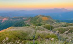 'Thiên đường cỏ lau' ở Bình Liêu - Quảng Ninh: Địa danh đẹp mê hồn đang được giới trẻ rần rần rủ nhau đến check-in 