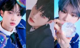 Top 14 tân binh đẹp trai nhất K-Pop do khán giả bình chọn 