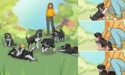 Làm thế nào để chọn một con chó?