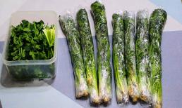 Mẹo bảo rau mùi nửa năm vẫn giòn và thơm như mới, có thể ăn tùy thích