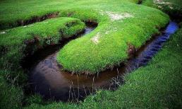 Con sông hẹp nhất thế giới: Nó rộng không bằng một cuốn sách, và một con cá lớn phải chen chúc để bơi qua!