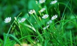 Những người có trí tuệ cảm xúc cao sẽ không đến thăm nhà của ba loại người này, nhưng những người có trí tuệ cảm xúc thấp thường đến đó