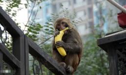 Ngày 3, 4, 5, 6, 7 tháng 11: Ba con giáp có tài lộc và tiền bạc rủng rỉnh nhất