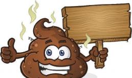 Nếu bạn không đi đại tiện trong hơn mười ngày, 'phân' trong cơ thể bạn sẽ đi đâu?