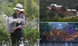 Bỏ phố về quê, cô gái cùng nhóm bạn tự xây nhà gỗ, làm nông trại, tận hưởng cuộc sống yên bình