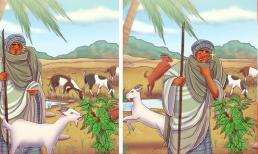 7 điều thú vị về cà phê có thể bạn chưa biết