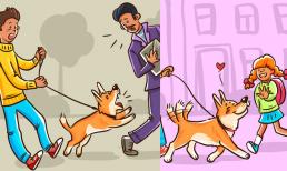 Tại sao chó lại hung dữ, đuổi cắn một số người này nhưng với một số khác lại không?