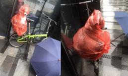 Người chủ đưa chú chó xuống tầng dưới công ty để tránh mưa, đồng nghiệp đi qua và không khỏi bất ngờ 