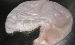 Câu nói 'một dạ dày heo mười thang thuốc' có đúng không? Lợi ích của việc ăn dạ dày là gì? 3 kiểu người cần ăn và 3 kiểu người cần tránh