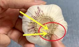 Giờ tôi mới biết phần đuôi tỏi có một “cơ quan nhỏ” chỉ cần chạm nhẹ là lột sạch vỏ nhanh chóng