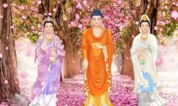 Người sinh vào những ngày nào, dù có thấp hèn đến đâu cũng không bị vùi dập, tương lai sẽ tỏa sáng rực rỡ