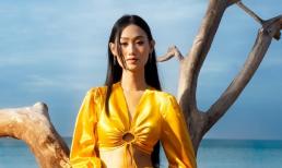 Tây Ninh liên tiếp tung 'người đẹp': Hết Miss Universe Ngọc Châu, đến thí sinh Miss Tourism Trúc Linh
