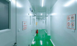 N - Collagen trao gửi tình yêu từ thiên nhiên trong các sản phẩm chất lượng đến phụ nữ Việt