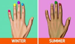 Tại sao ánh nắng mặt trời làm cho da của bạn đen hơn và tóc của bạn sáng hơn?