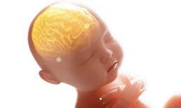 Bổ sung DHA cho trẻ sơ sinh như thế nào là đủ và đúng cách?