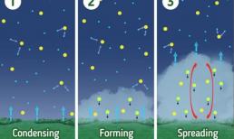 Cách thức hình thành sương mù như thế nào?
