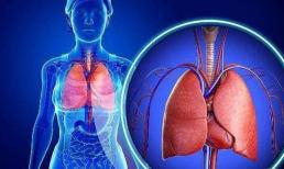 Người có gan kém có thể ngày càng khỏe nếu ăn 3 loại “thực phẩm” này thường xuyên