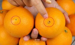 Khi mua cam, có sự khác biệt lớn giữa 'rốn to' và 'rốn nhỏ'! Ghi nhớ 4 điểm để chọn cam chính xác 