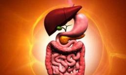 Trong giai đoạn đầu của bệnh “ung thư đường ruột”, cơ thể có thể có 3 “màn biểu diễn” này mà nhiều người bỏ qua!