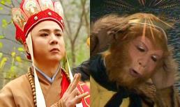 Trong 'Tây Du Ký', Tôn Ngộ Không bị đeo vòng kim cô để theo Đường Tăng đi lấy kinh, nhưng lý do này mới là triết lý