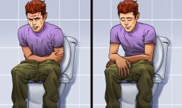 Chất xơ là gì và tại sao cơ thể chúng ta cần nó?